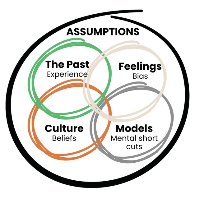 Assuming (in coaching)